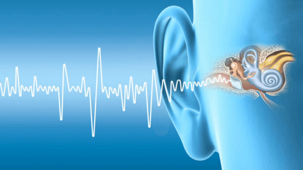 graus e tipos de perda auditiva